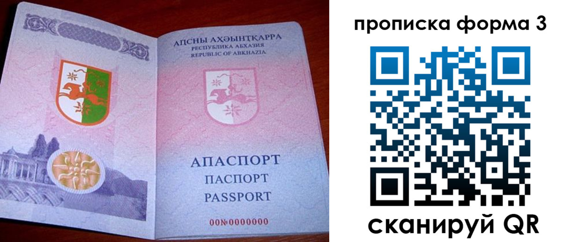 прописка в Ельне