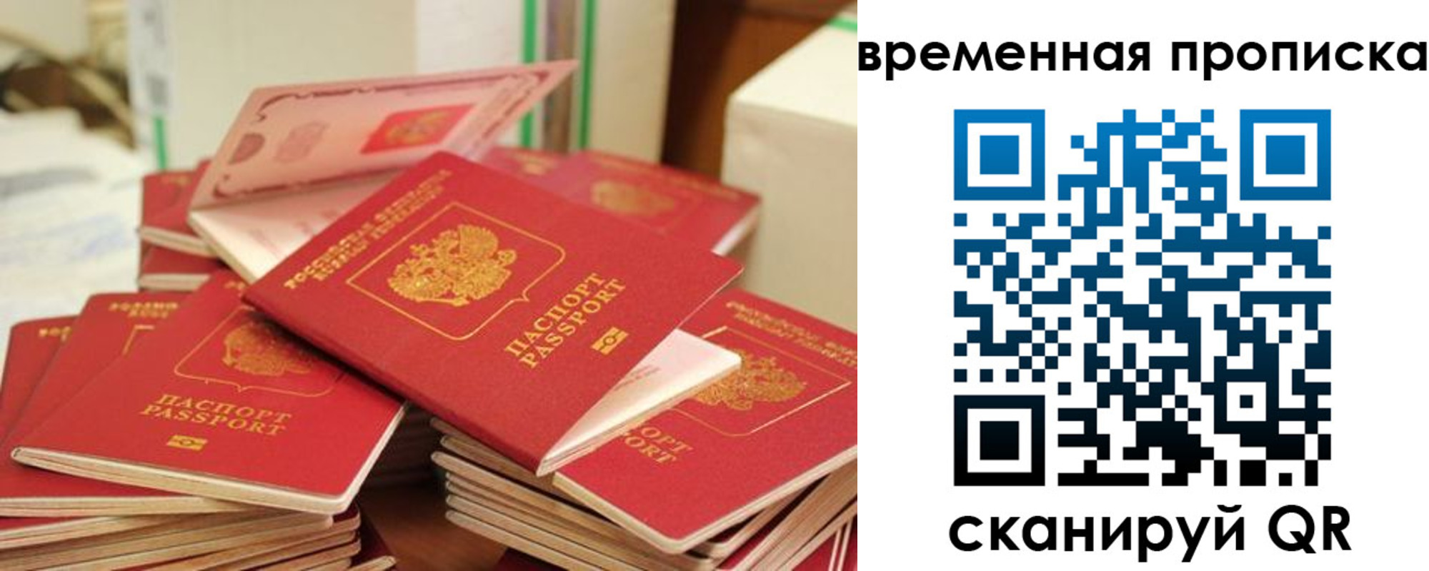 временная регистрация для всех в Ельне